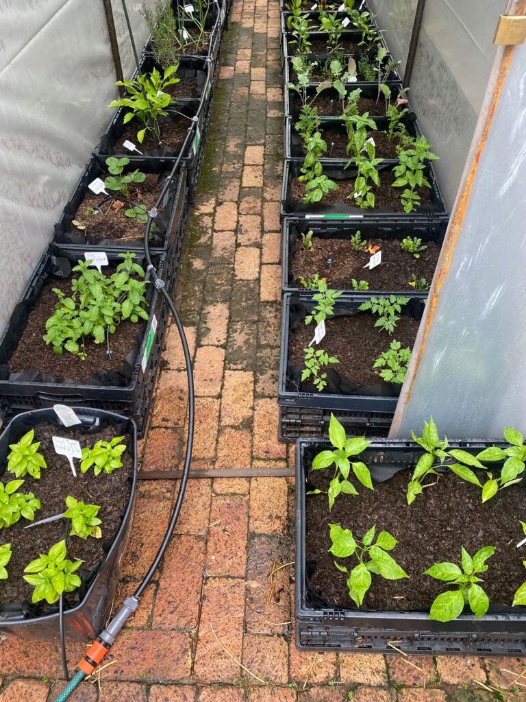 PHOTO-2024-01-17-21-01-04