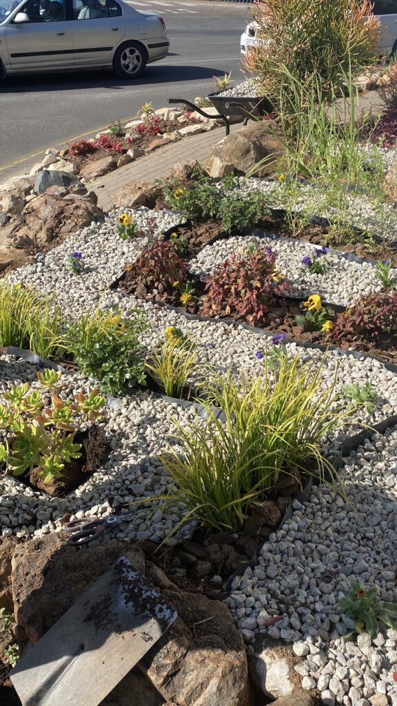 20250820_124856384_iOS