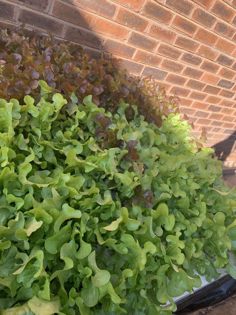 01811342-E8B6-42C2-8663-7AD4741FCA45_1_105_c