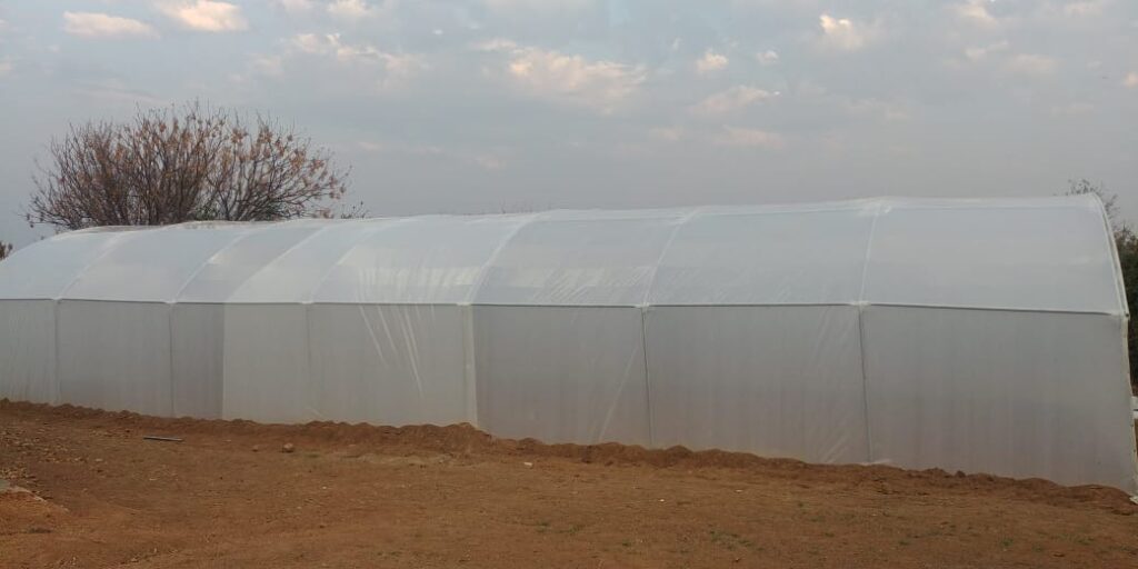 20210827_152523000_iOS 1