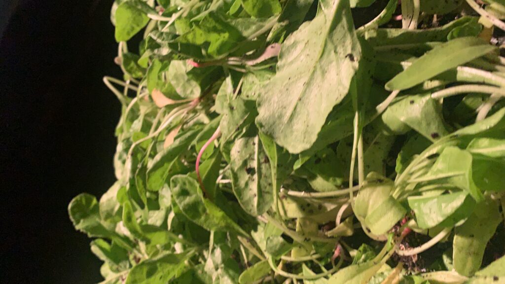 20211022_210935682_iOS