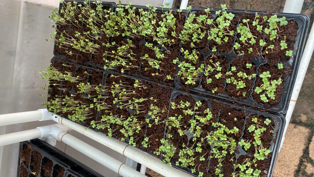 20240219_123613824_iOS