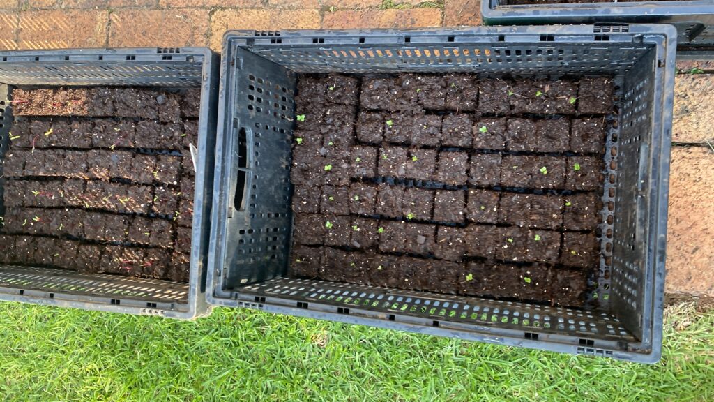 20240326_142931914_iOS