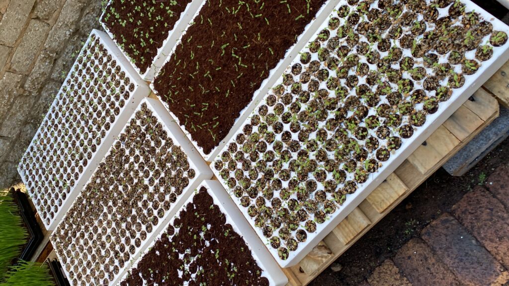 20240420_085114798_iOS