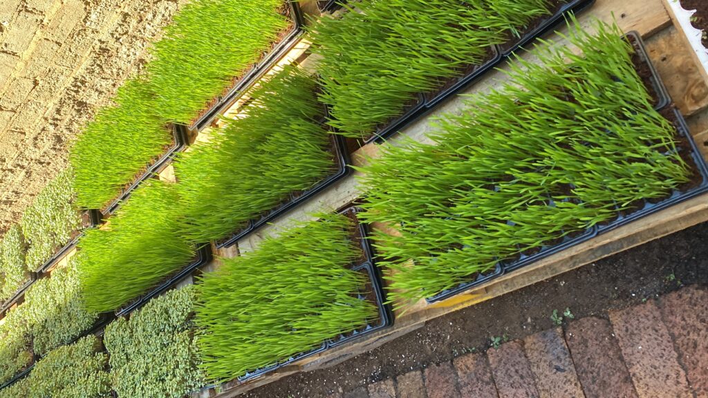 20240420_085116501_iOS