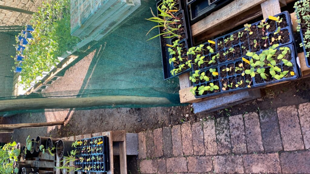 20240420_085120995_iOS