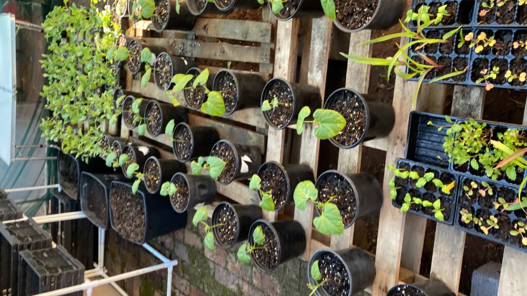 20240420_085123980_iOS