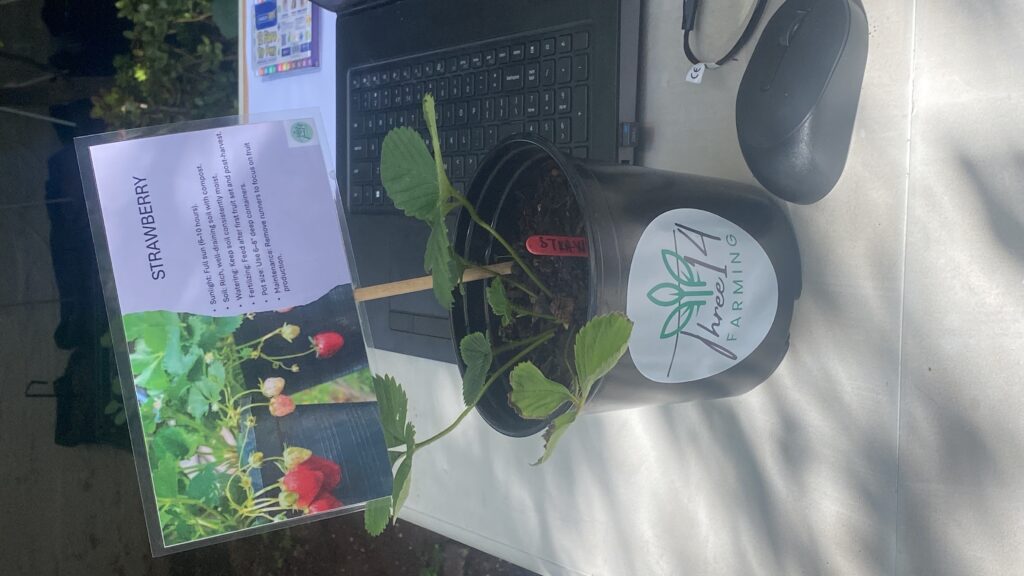 20250515_073718829_iOS