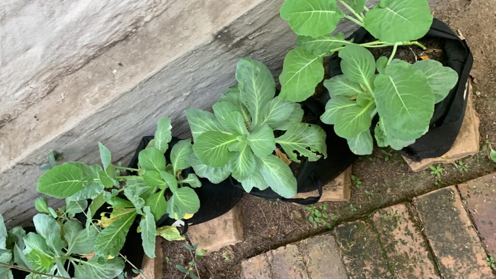 20250515_111727188_iOS