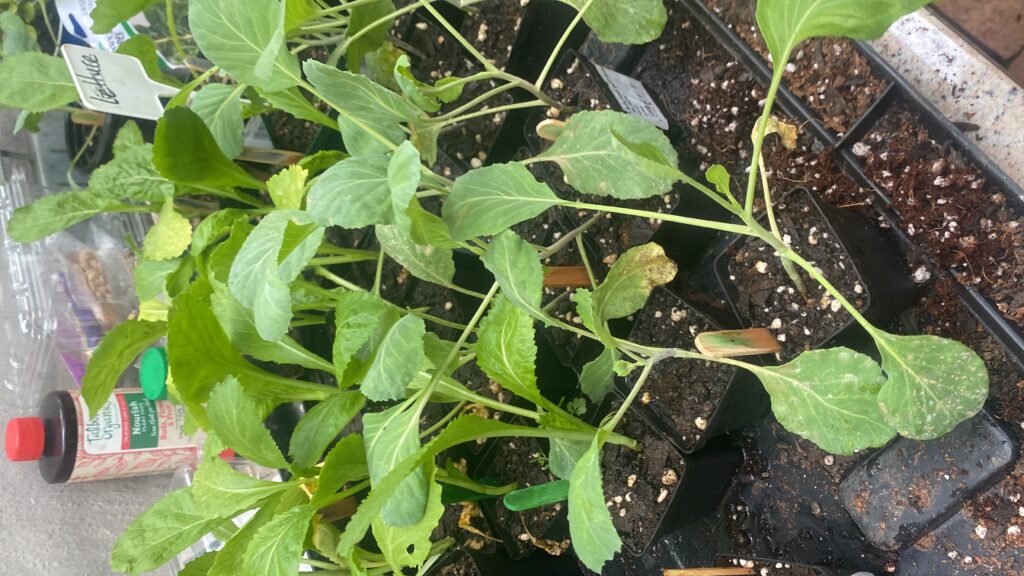 20250515_133630893_iOS