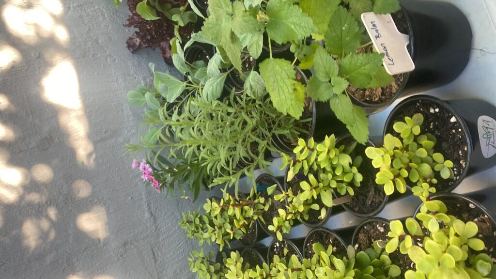 20250517_060458611_iOS