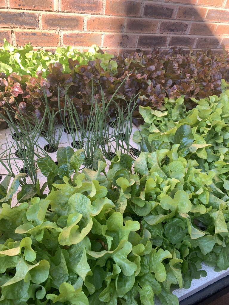 80895621-6214-49A2-83BA-D3BE326E9CC2_1_105_c - Copy