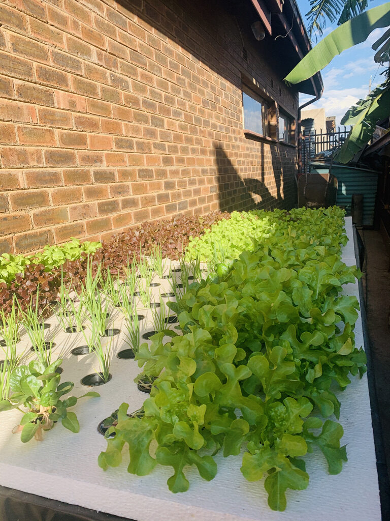 83D6A5B7-4D0D-4535-A450-3FD26B358251_1_105_c