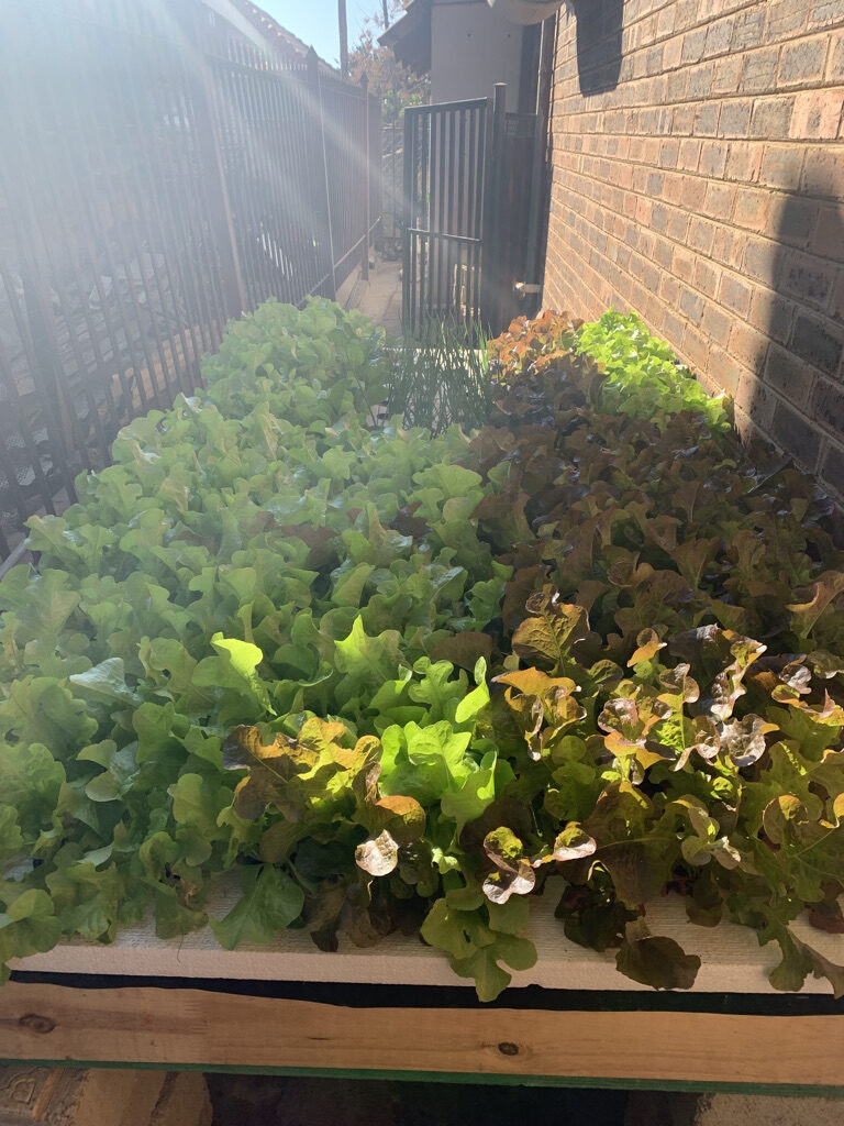 DBF5EFEF-0140-4DA4-ABF4-EA439DDE7C14_1_105_c