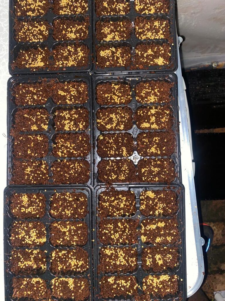 PHOTO-2024-03-05-01-48-17_9